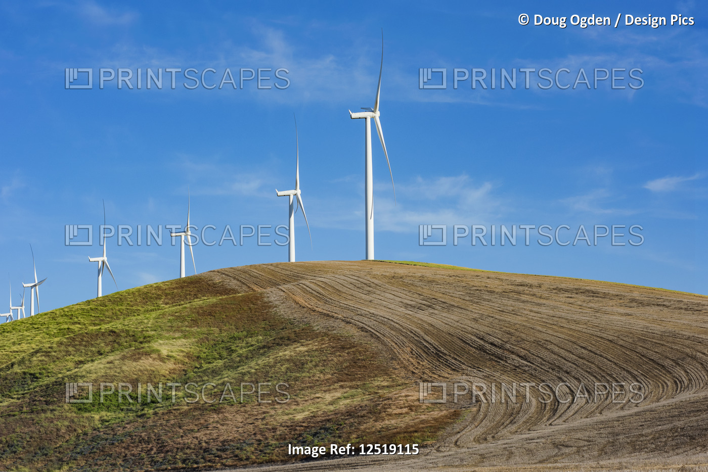 Wind Generators sharing space with a Wheat Field in Eastern Washington
