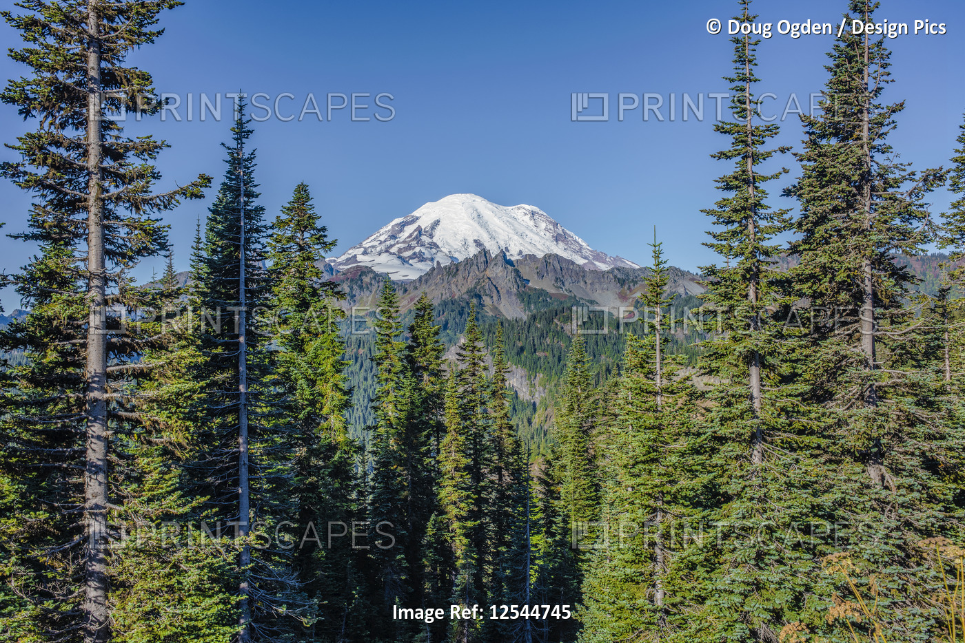 Mount Rainier peak from Chinook Pass