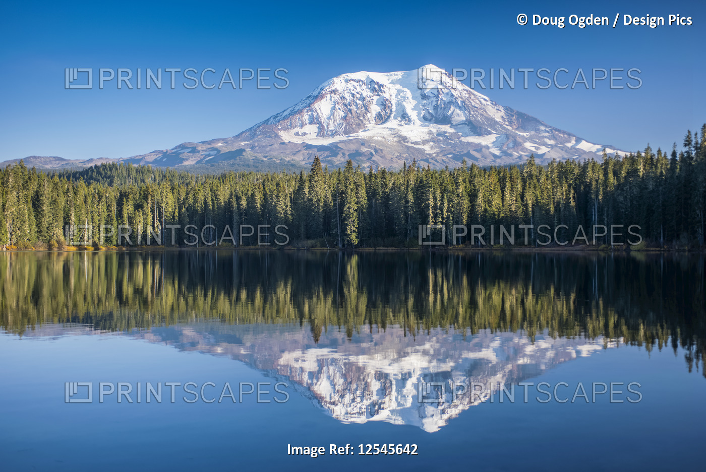 Mount Adams reflected in Takhlakh Lake, Gifford Pinchot National Forest; ...
