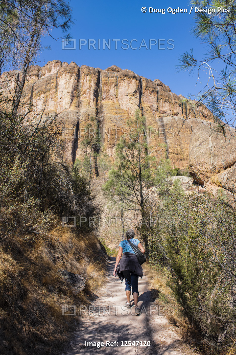 A woman walking up the Balconies Cave trail below massive cliffs  in the ...