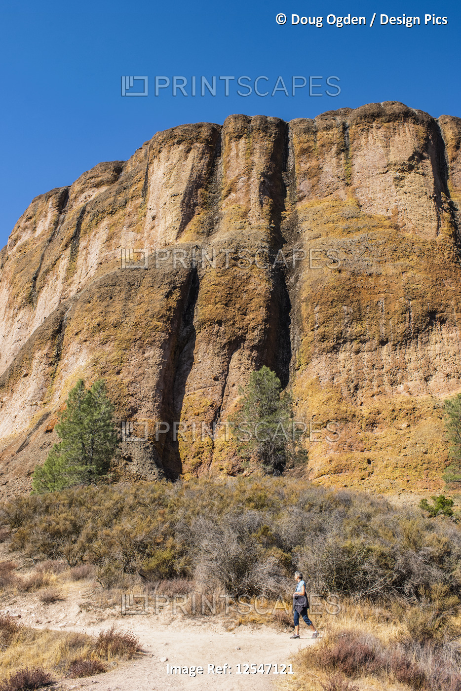 A woman walking on a trail below massive cliffs  in the Pinnacles National ...
