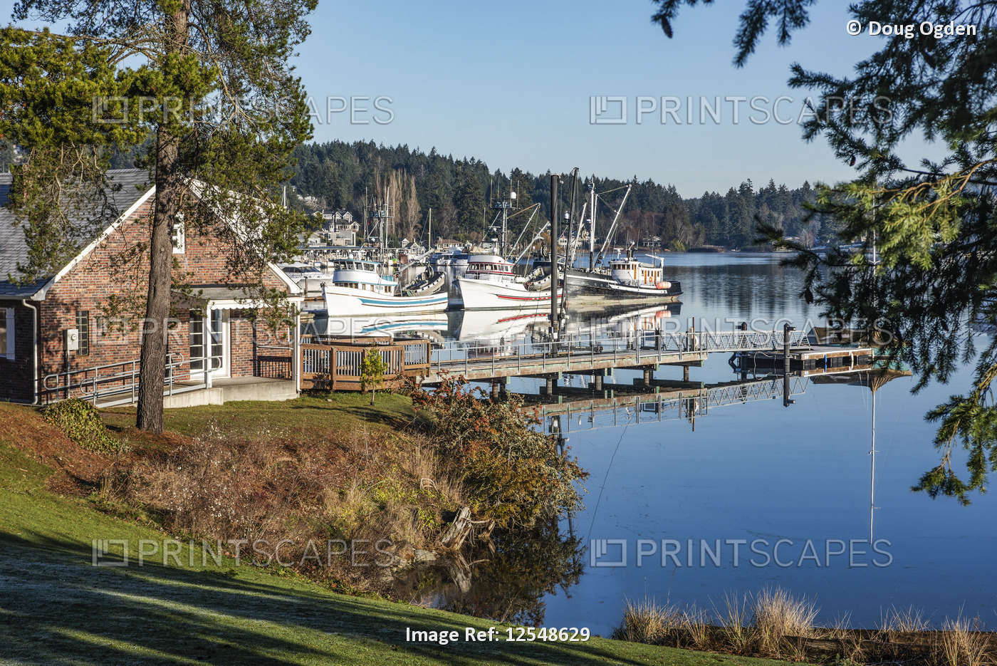A serene morning view looking across a portion of the the marina and fishing ...