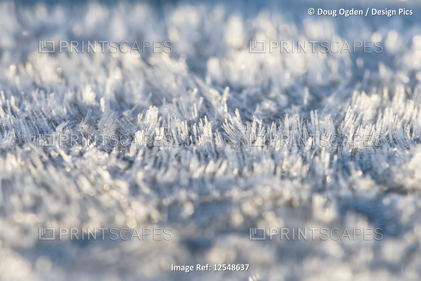 A detail of the textures and patterns of rime frost on a chilly morning; Gig ...