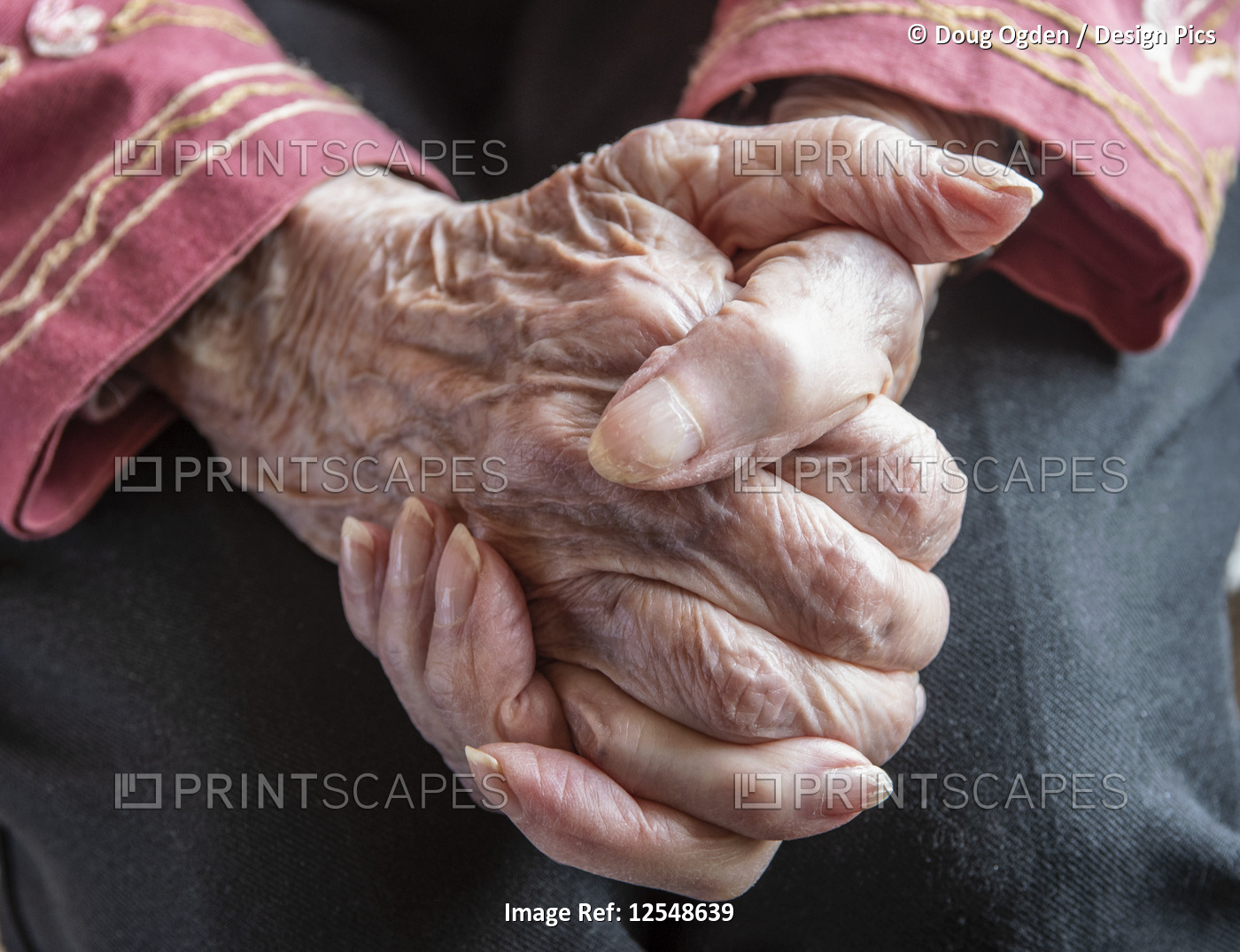 Senior woman's hands clasped in thoughtful repose; Olympia, Washington, United ...