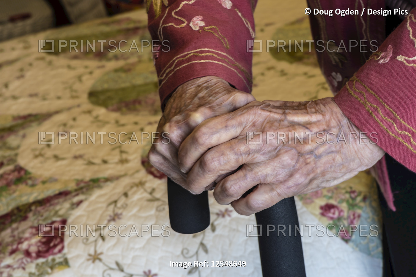 Senior woman's hands holding on to a cane; Olympia, Washington, United States ...