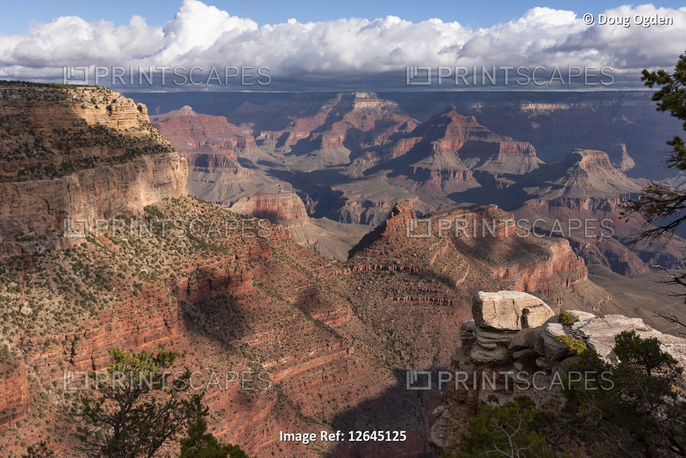 Morning views of the Grand Canyon from the Village; Arizona, United States of ...
