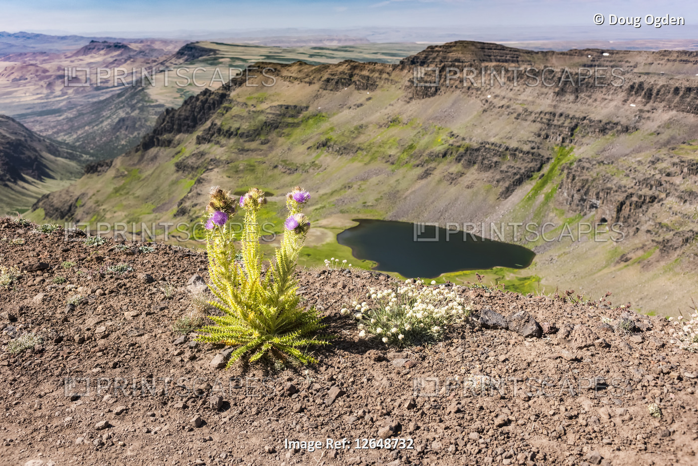 A lone thistle overlooks Wildhorse Lake near the summit of Steens Mountain in ...