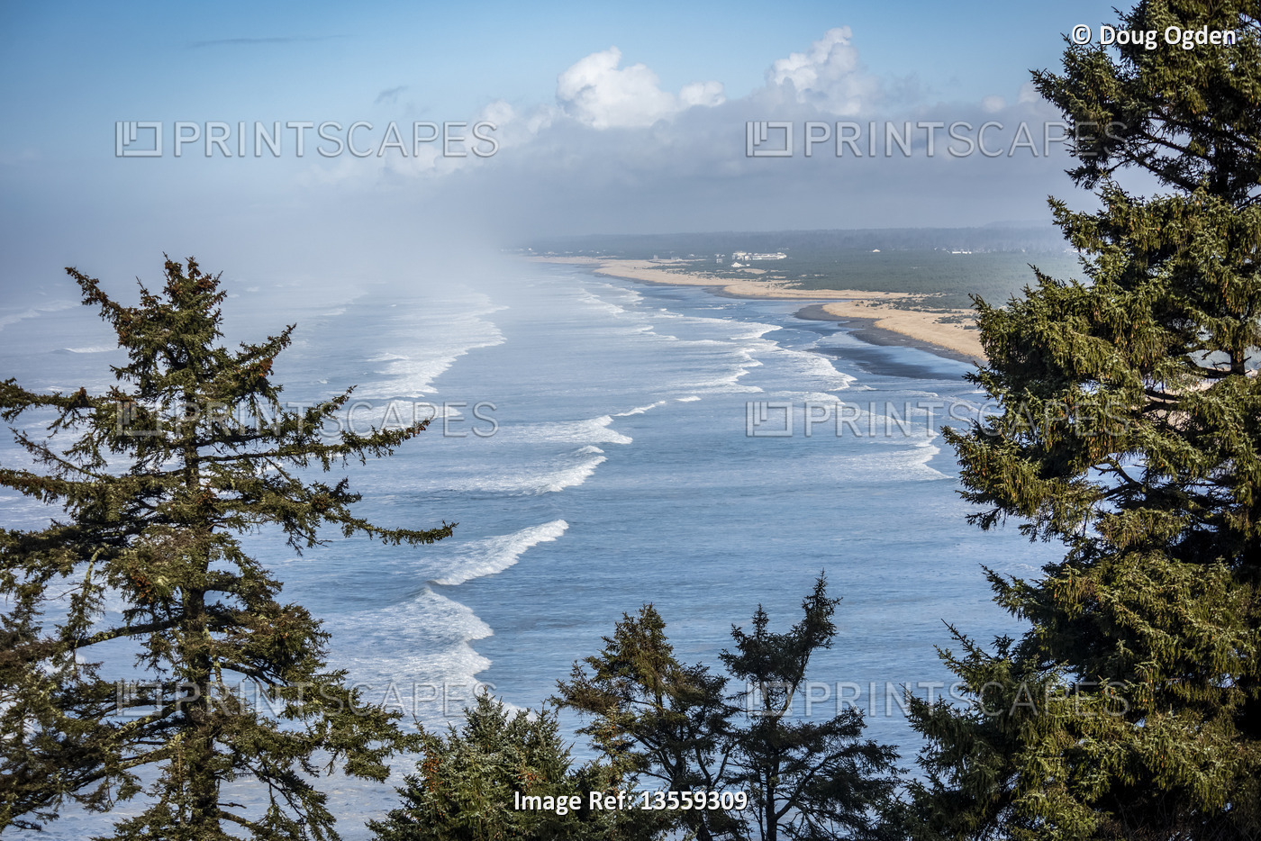 View of Cape Disappointment framed by evergreen trees; Washington, United ...