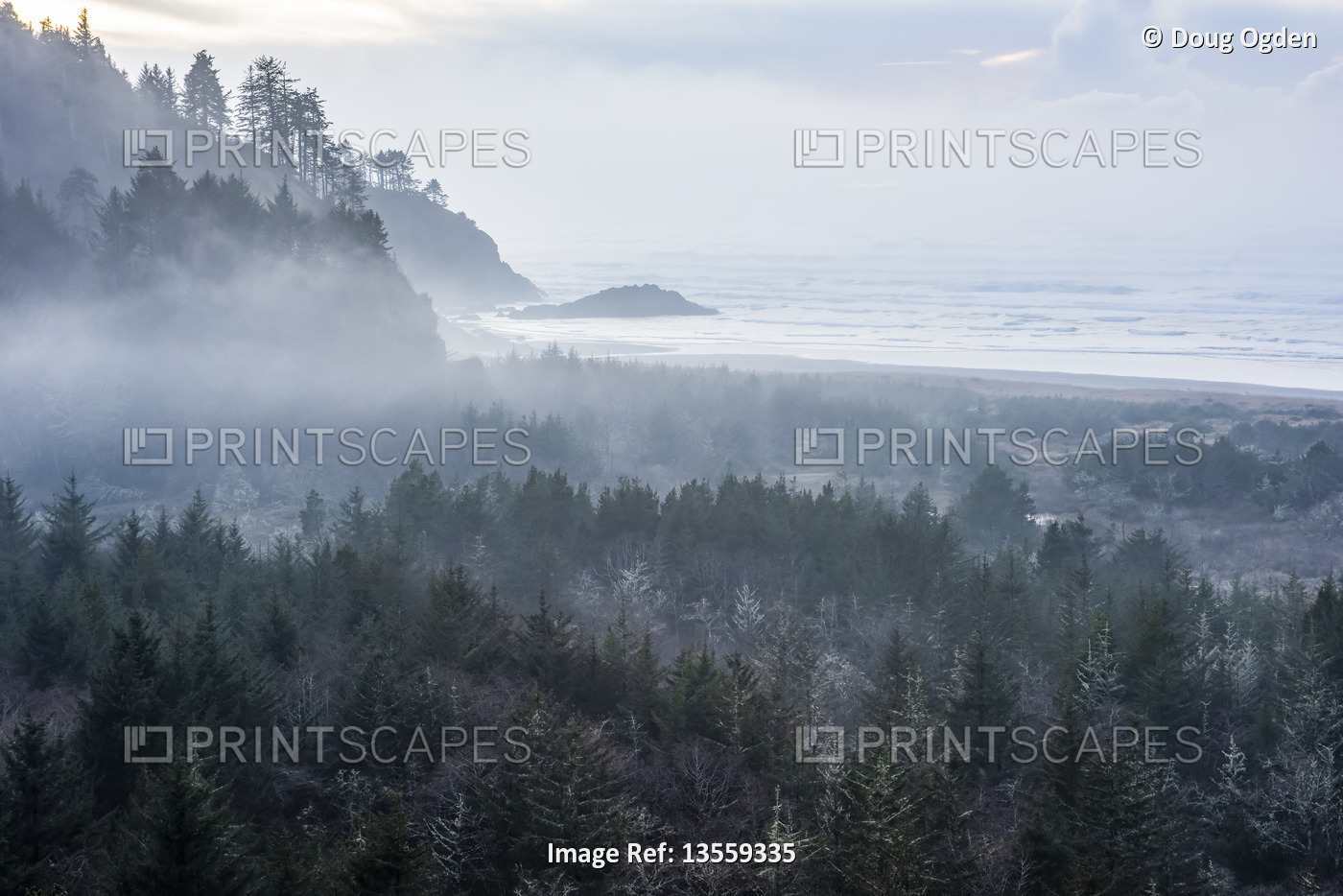 View of Cape Disappointment with a heavy mist over the forest and ocean; ...