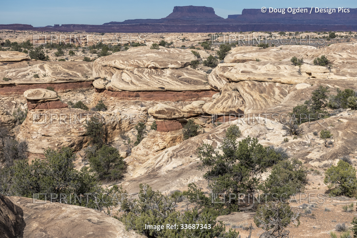 Hardened flowing rock at Canyonlands National Park, Utah; Moab, Utah, United ...