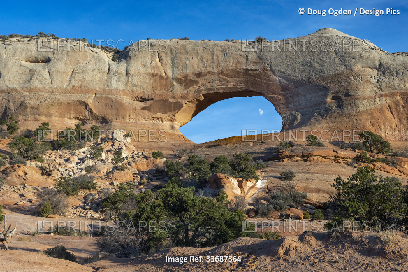 View of the moon through the Wilson Arch, near Moab, Utah, USA; Moab, Utah, ...