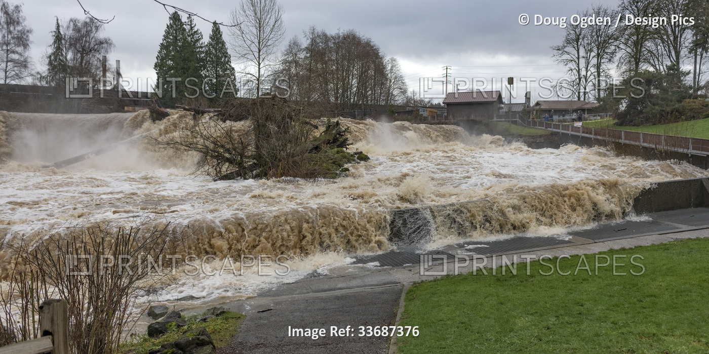 Flooding waters at the Tumwater Falls of the Deschutes River; Olympia, ...