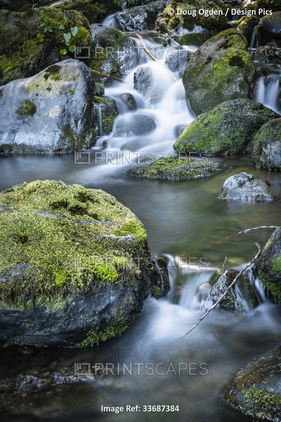 Small waterfall in the Olympic National Forest, Western Washington, USA; ...