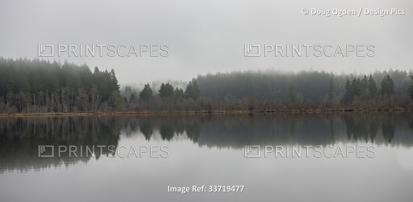 Mirror image of trees in a forest area along the shoreline of tranquil Scott ...