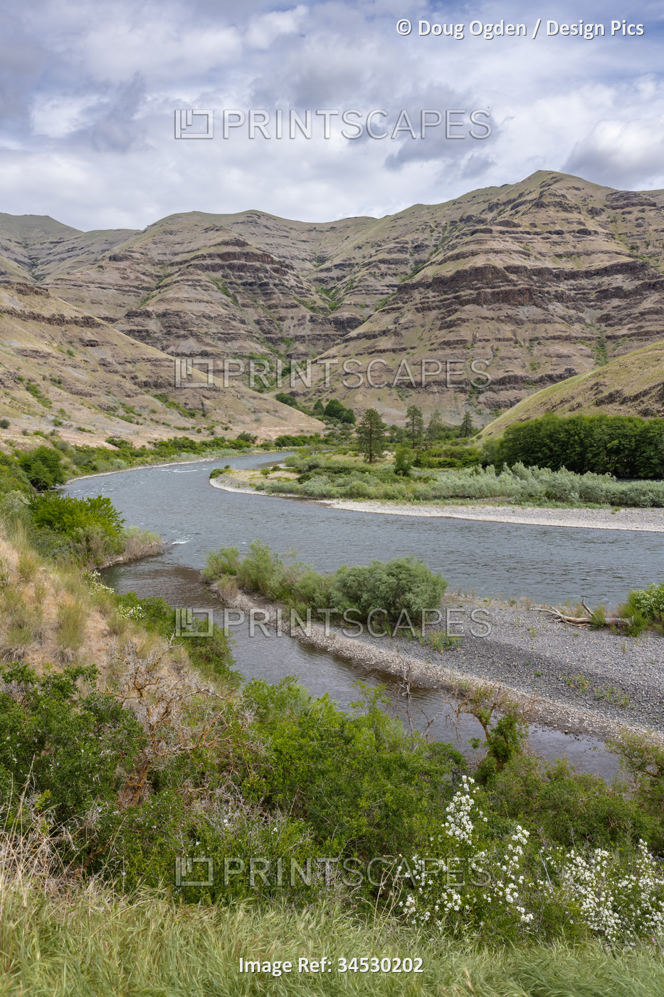 Gravel bars of wild Snake River and the exposed geologic and eroding cliffs as ...