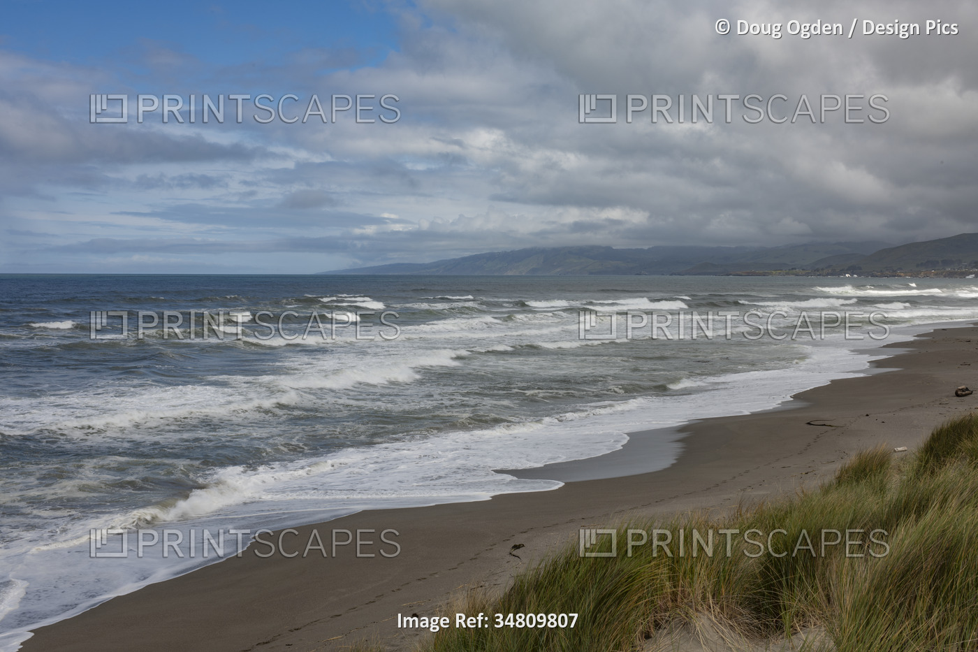 Beach and the Pacific Ocean surf at Bodega Dunes Campground, Bodega Bay, ...