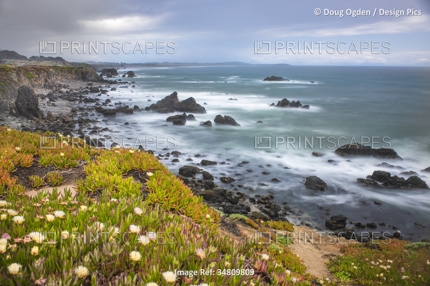 Slow exposure of Pacific Ocean surf and Ice Plant (Aizoaceae) at Sereno del ...